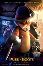 Puss in Boots The Last Wish 2022 Hindi Dubbed 480p 720p 1080p Filmy4WEB